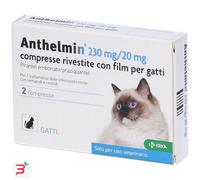 ANTHELMIN*2CPR 230+20MG GATTO