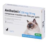 ANTHELMIN*2CPR 230+20MG GATTO