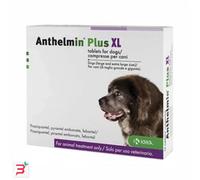 ANTHELMIN PLUS XL*2CPR