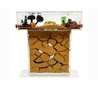 ANTHILLSHOP -Formicaio Naturali Fatta di Sabbia - Kit T 15x15 in Acrilico - Formiche Incluse