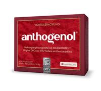 Anthogenol® MASQUELIERs® Original OPCs Kapseln 90 pz Capsule