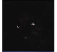 Anthony Braxton - Town Hall 1972 [2in1]