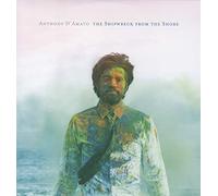 Anthony D'Amato - The Shipwreck From The Shore