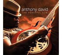 Anthony David The Powerful Now (CD) Album