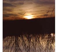 Anthony Green Avalon (CD) Album