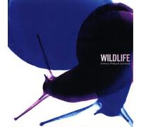 Anthony Phillips & Joji Hirota Wildlife (CD) Expanded Album Digipak