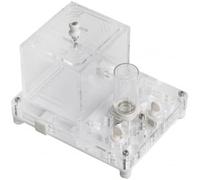 Anthouse - Kit educativo di formiche con regina inclusa - formicaio professionale in acrilico 10 x 12 x 1,3 cm per bambini e principianti, fattoria di formiche per osservazione e apprendimento