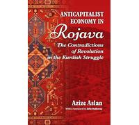 Anti-Capitalist Economy in Rojava: The Contradictions of Revolution in the Kurdish Struggle: The Contradictions of the Revolution in the Struggles of the Kurds