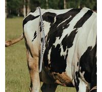 Anti Kick Off Strumento dispositivo Accessori leggeri per le vacche da