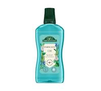 11 Flaconi Antica Erboristeria Collutorio Purificante 8 Erbe Anti-Batterico