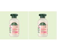 Antica Erboristeria - Balsamo Nutriente e Illuminante alla Rosa per Capelli Secchi, Formula Vegan senza Siliconi, 225ml (Confezione da 2)