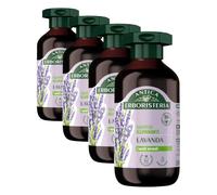 Antica Erboristeria - Shampoo Illuminante alla Lavanda per Capelli Normali, Formula Vegan senza Siliconi, 250ml (Confezione da 4)