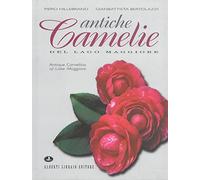 Antiche camelie del Lago Maggiore-Antique camellias of lake Maggiore