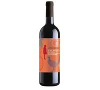 Antichello Ripasso Valpolicella DOC Superiore