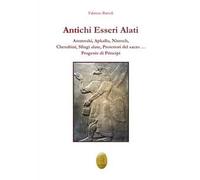 Antichi esseri alati. Annunaki, Apkallu, Nisroch, Cherubini, Sfingi alate, protettori del Sacro