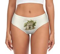 Antico edificio con ramo di ulivo romano e stampa greca biancheria intima da donna funzionalità mutandine a copertura completa stretch casual uso quotidiano, Nero , 4XL