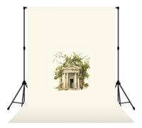 Antico edificio con ramo di ulivo romano e stampa greca sfondo fotografico fotografico per studio di vacanze festa di nozze servizi fotografici decorazioni per la casa
