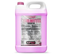 Antigelo Radiatore Rosso 5L AF12+ G12+ Refrigerante -40°C Auto Pronto all'uso...