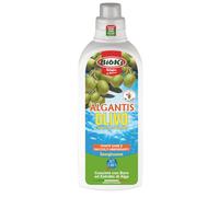 Antika Officina Botanika Algantis Olivo Concime energizzante con Boro e Ascophillum Nodosum per Olivo, flacone da 1 kg, marrone