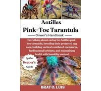 ANTILLES PINK-TOE TARANTULA