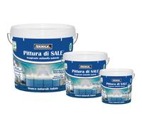 ANTIMUFFA Pittura di sale vernice traspirante da 2,5 L