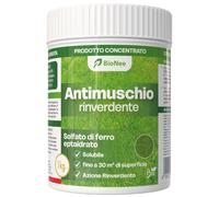 ANTIMUSCHIO RINVERDENTE 1Kg - Solfato Di Ferro Concentrato - Azione Rapida Contr