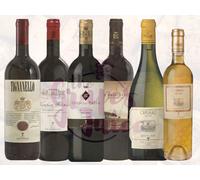 ANTINORI BOX 6BT TIGNANELLO CHIANTI IL BRUCIATO GUADO AL TASSO CERVARO MUFFATO