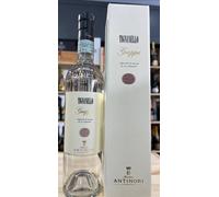 Antinori Grappa Tignanello