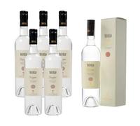 Antinori Grappa Tignanello | Acquavite di Vinaccia da Uve Selezionate | Confezione da 6 Bottiglie da 500ml