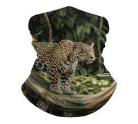 Antiscivolo Sciarpa a Mezza Faccia, Ghetta da Collo Animal Cat On Tree Waterfall Protezione UV Sciarpa al Collo per Uomo Escursionismo Campeggio