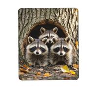 Antiscivolo Tappetino per Il Mouse, Raccoons in The Fall Tree Hole, Superficie Liscia Tappetino Mouse, Mousepads, 25X30cm, Casa, PC, Notebook