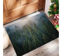 Antiscivolo Zerbino Ingresso Interno, Tappeto Verde Scuro Camera Cucina 80 X 120 Cm,Tappeti Lavabili In Lavatrice Scena Foresta Naturale Luce Sole Che Filtra Attraverso La Nebbia Pelo Corto Rug