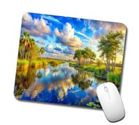 antisfilacciamento Tappetino per Il Mouse National Park Florida Watercolor Style Gaming Mousepad Tappetini Mouse 25x30cm per Ufficio,PC,Laptop