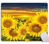 antisfilacciamentoTappetino per Il MouseSunflowers on a Field And SunsetGaming MousepadTappetino per Mouse25x30cmperLaptop,Notebook,PC