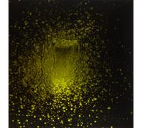 Antlers - Burst Apart