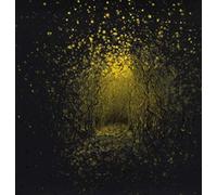 Antlers - Burst Apart