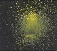 Antlers - Burst Apart