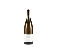 Antoine Lienhardt Meursault 2023