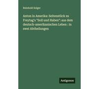Anton in Amerika: Seitenstück zu Freytag's "Soll und Haben": aus dem deutsch-amerikanischen Leben : in zwei Abtheilungen