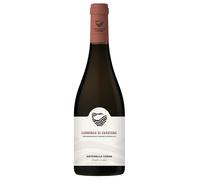 Antonella Corda Cannonau di Sardegna DOC 2024 0,75 ℓ