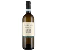 Antonelli Grechetto Montefalco DOC 2024 0,75 ℓ