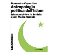 Antropologia politica dell'Islam. Islam pubblico in Tunisia e nel medio Oriente