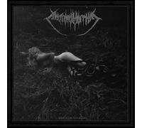 Antropomorphia - Merciless savagery