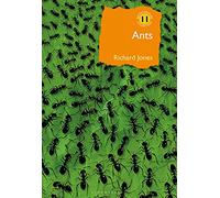 Richard Jones Ants (Copertina rigida) British Wildlife Collection