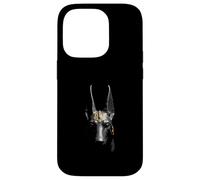 Anubis Head Antico Egitto Dio Arte Custodia per iPhone 14 Pro