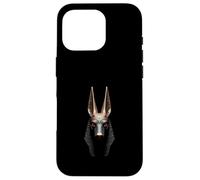 Anubis Head Antico Egitto Dio Arte Custodia per iPhone 16 Pro