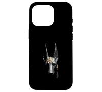 Anubis Head Antico Egitto Dio Arte Custodia per iPhone 16 Pro