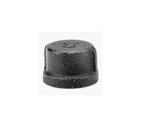 Anvil 8700132452 Malleable Iron Pipe Fitting cap 2 NPT Female Blac