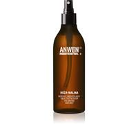 Anwen x Ministerstwo spray nebulizzato per il volume dei capelli 150 ml