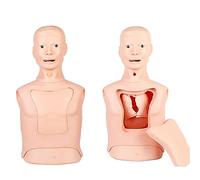 ANXYYDS Modello Infermieristico a metà Corpo Modello didattico per intubazione delle Vie aeree Manichino a metà Corpo Modello avanzato per la Cura della Trachea e del Tubo nasogastrico